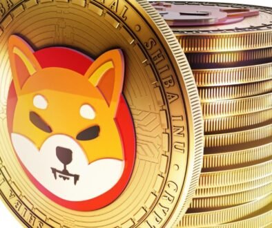 Shiba Inu_coin_1